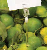 Pinch small skewer for delicacies 100mm-black