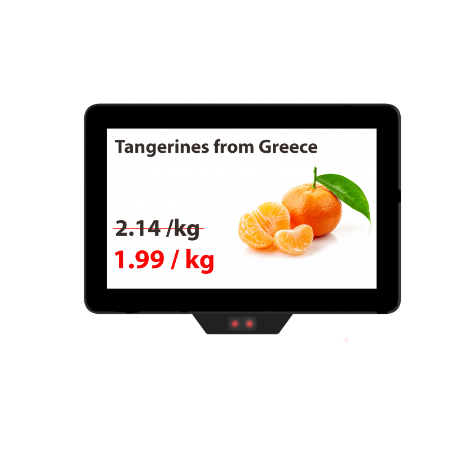 12&quot; terminal for checking prices with a built-in 2D scanner